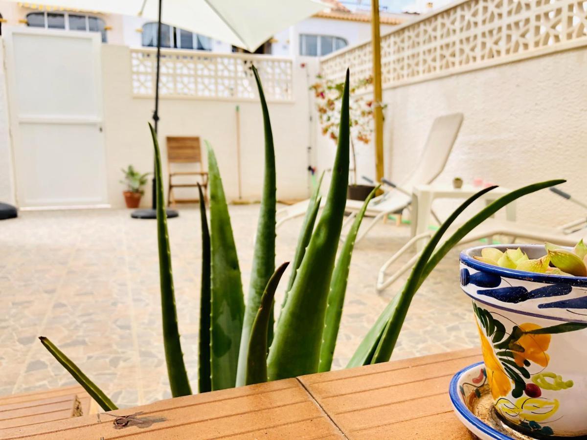 Mediterranean House 그란 알라칸트 외부 사진