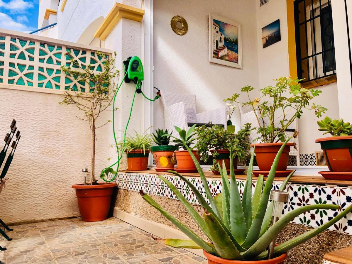 Mediterranean House 그란 알라칸트 외부 사진